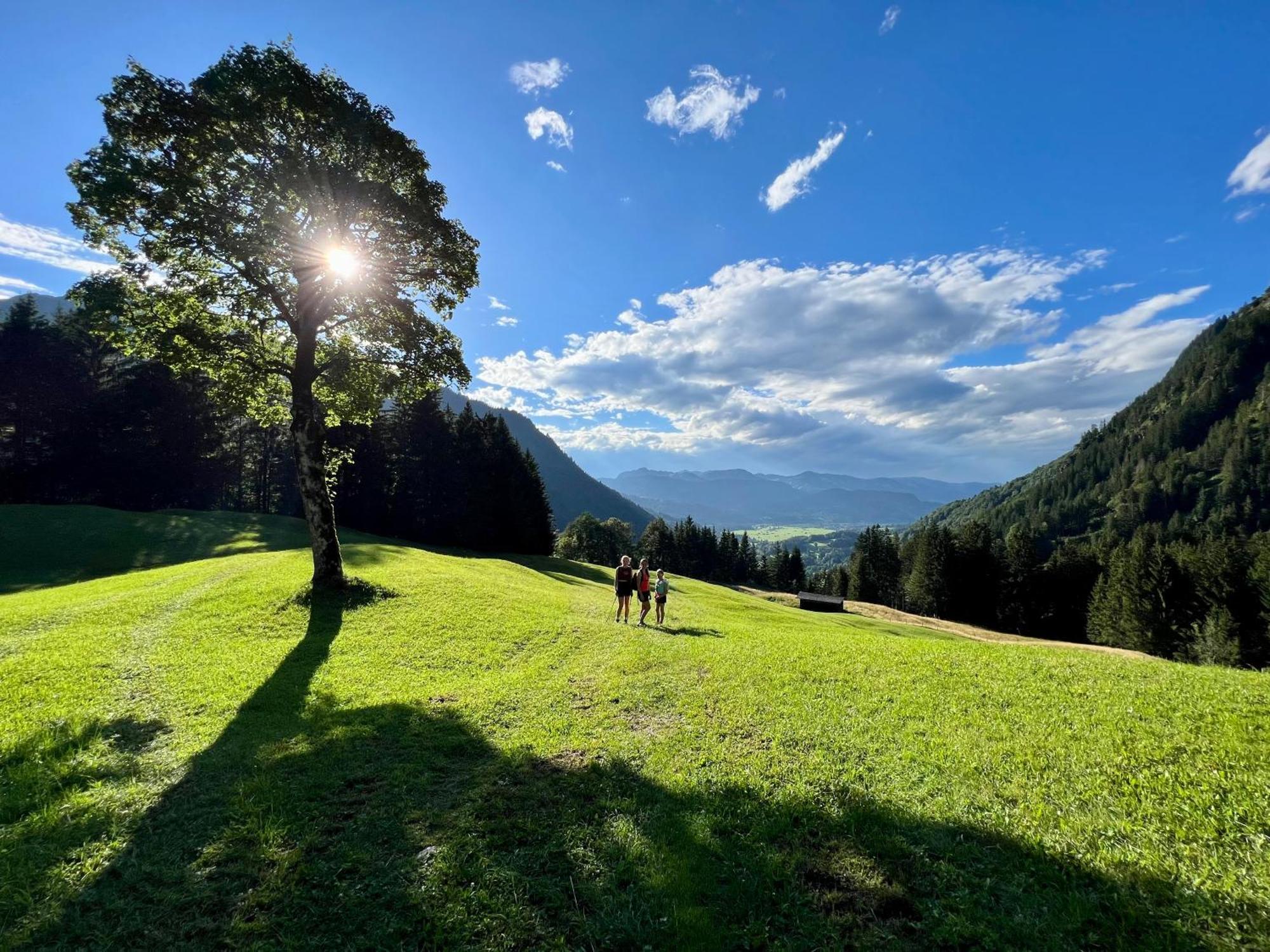 Ferienwohnungen Scheibenhaus Oberstdorf Exterior foto