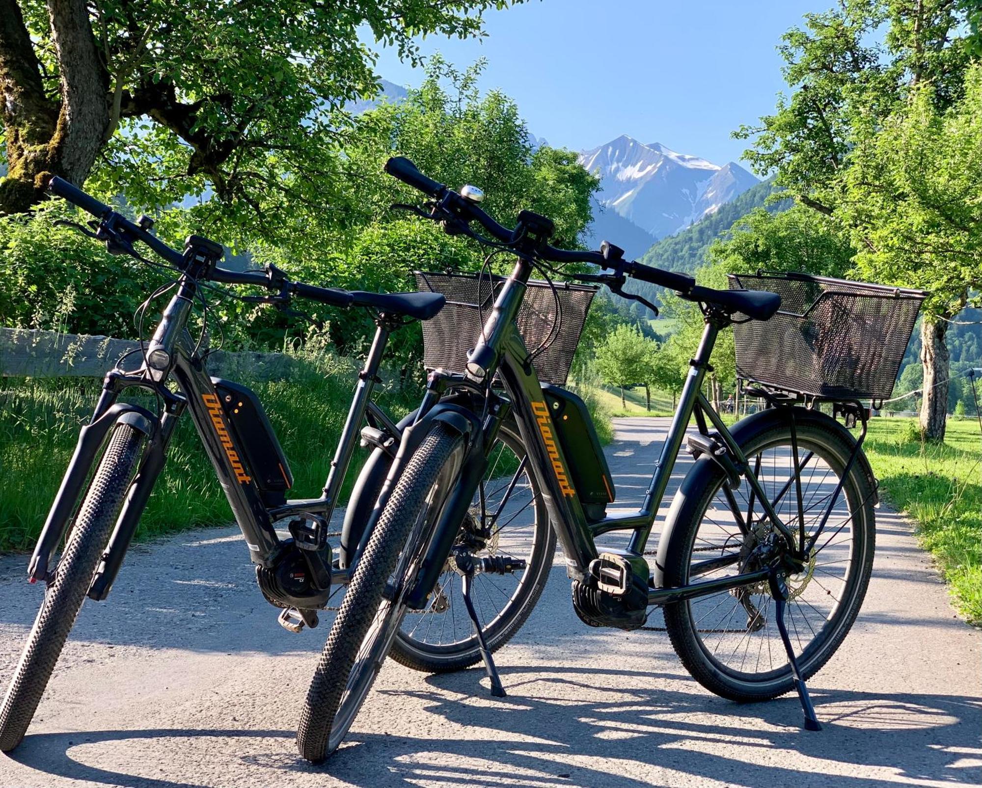 Ferienwohnungen Scheibenhaus Oberstdorf Exterior foto